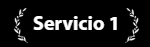 Servicio 1