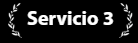 Servicio 3